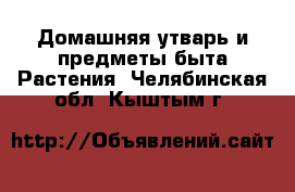 Домашняя утварь и предметы быта Растения. Челябинская обл.,Кыштым г.